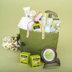 bglw_green tea spa bag001
