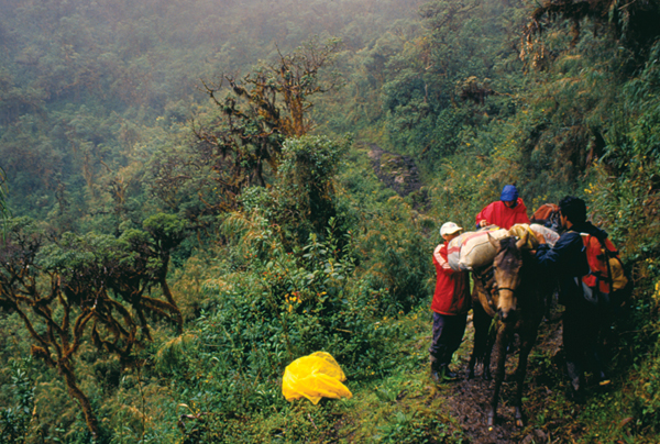 goodworks_retrning_lo#1DDF6