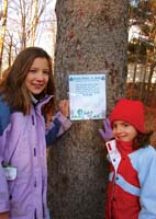 Green article-Lucy El#17106